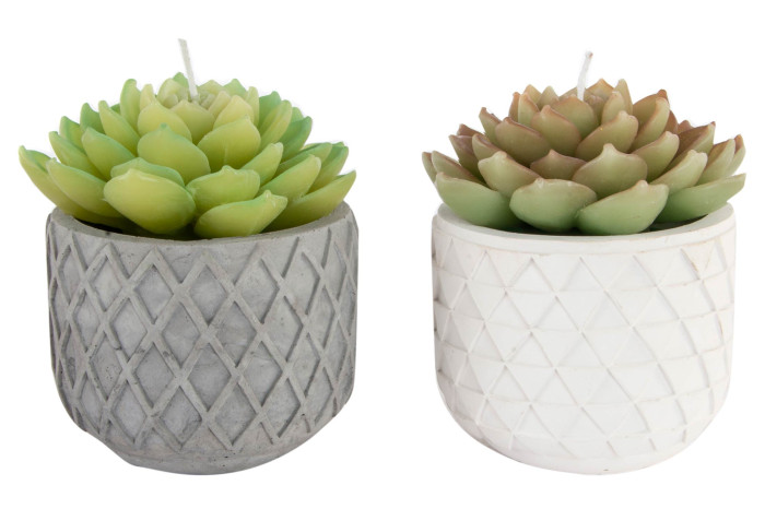 DECO VE-133958 BOUGIE CIMENT 13X15 ALOE 2 SURT.