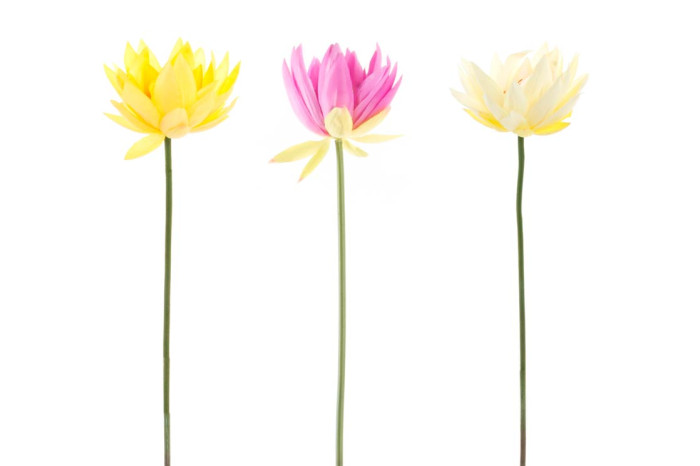 DECO JA-139881 FLEUR PVC POLYESTER 80 CM NENUFAR 3 MOD.
