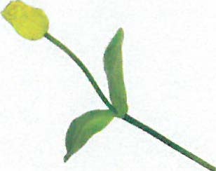 DECO 2401047 FLEUR TULIPE MOYENNEE JAUNE 48CM