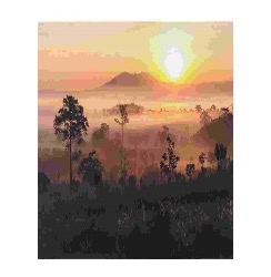 LL DCA166006 BURUNDI TOILE IMPRIMEE 40X50 50%MDF 50%PE - PCB 12