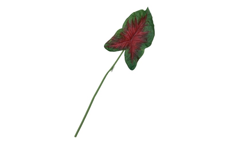 DECO MH FLEUR CALADIUM LEAF 83,5cm