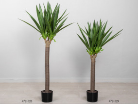 DECO 472-528 POT YUCCA  145 CMS