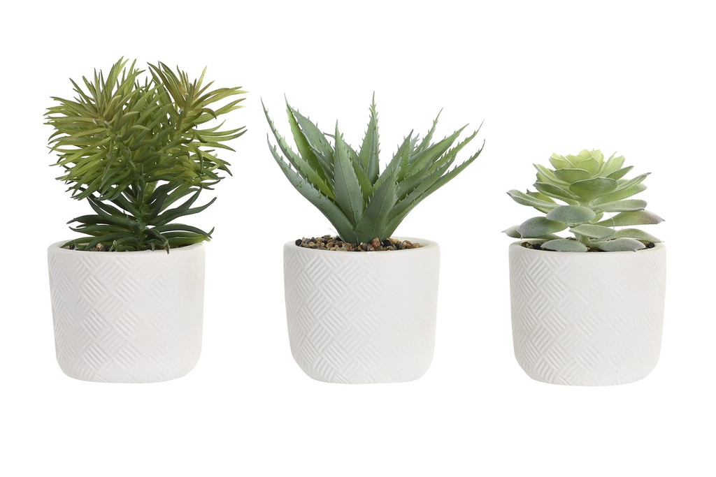 DECO JA-200655 PLANTE RESINE PE 10X10X20,5 3 STANDARD 3 MOD.