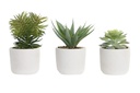 DECO JA-200655 PLANTE RESINE PE 10X10X20,5 3 STANDARD 3 MOD.