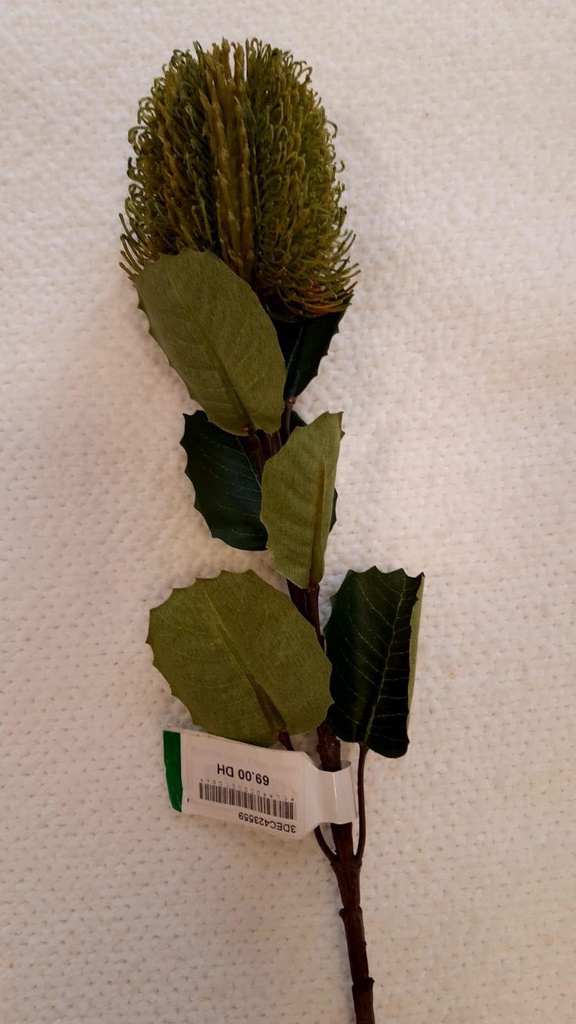 DECO FLEUR BANKSIA SPRAY 57cm VERTE