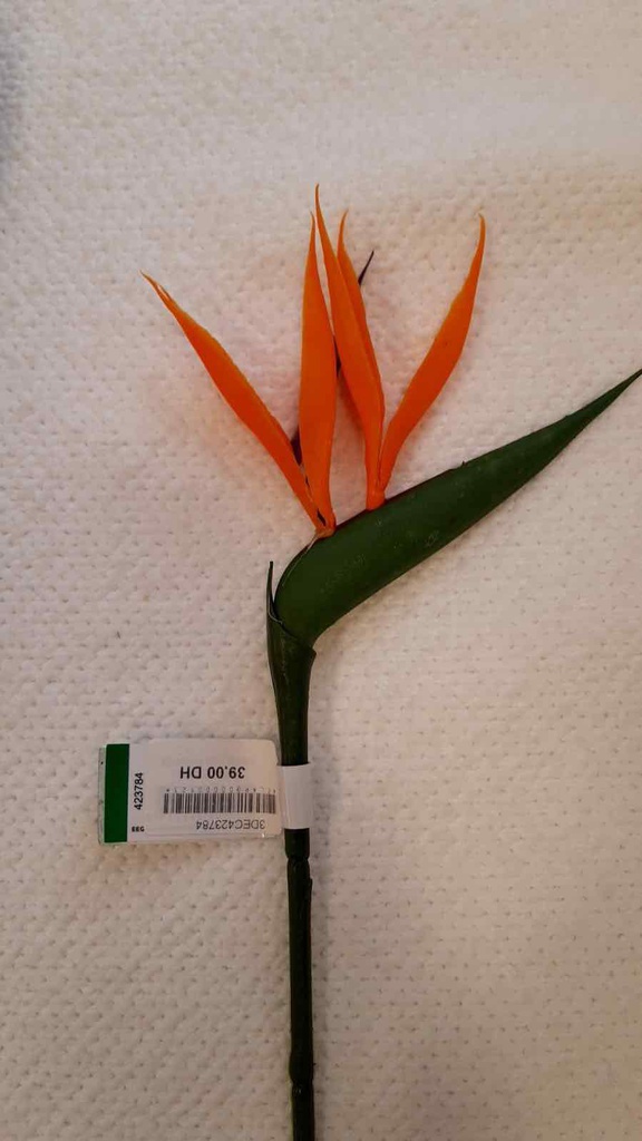 DECO FLEUR STRELITZIA MINI SPRAY 65cm ORANGE