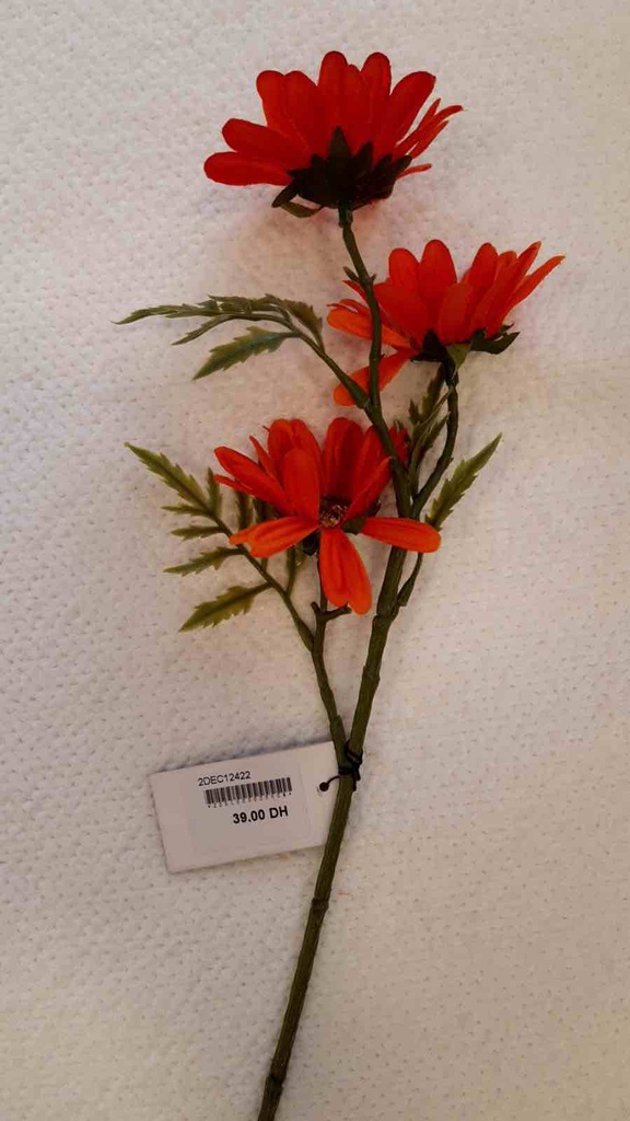 DECO FLEUR PAQUERETTE PVC ORAN 11x11x45cm