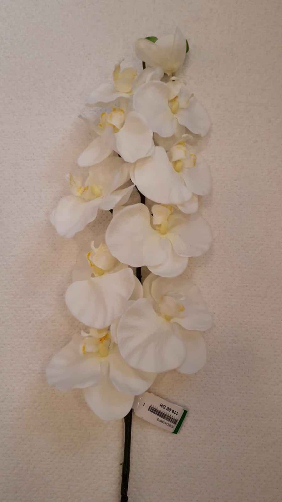 DECO FLEUR PHALAENOPSIS SPRAY x9 100cm CREME