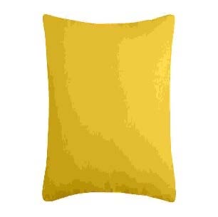 [LLST210306] LL ST C01490020 DUO COUSSIN UNI 40X40