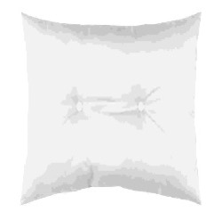 [LLST210382] LL ST C7A007001 HAWAI COUS. OUTDOOR 50X70
