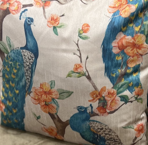 [LLTL210355] LL COUSSIN PAVAO 50x50