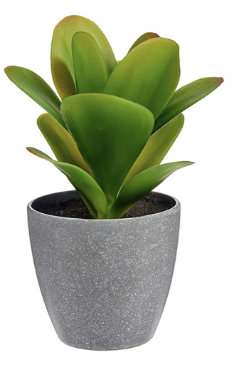 [DEAR211173] DECO 77065 POT PLANTE FEUILLE LONGUE ASSORT COULEUR 11X11X20CM