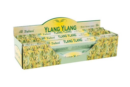 [DEIT210689] DECO IN-40410 ENCENS STICK SET 20 ARÔME 25X4X4 25 CM. YLANG YLAN