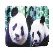 [LLST201286] LL BT7769001 PANDA TAPIS DE SOL 45X75 VERT - 100%PE - PCB 6
