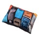[LLST201204] LL C08118001 POSTE/AQUITAINE ANTHRAC 100%CO (2 COUSSINS ASSORTIS) - PCB 