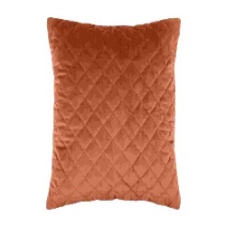 [LLST210358] LL C08630010 DANAE MATELA COUSSIN 40X40