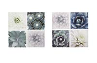 [DEPL191105] DECO TABLEAU PLANTES 600MM CUAD VDE/BCO A/2