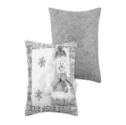 [LLST210374] LL C3A346001 GUNTER COUSSIN 40X40CM
