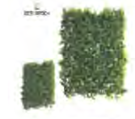 [DEAR191073] DECO 55960 JARDIN VERTICAL ARTIF VARIADO 50X50CM